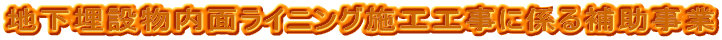 nݕʃCjO{HHɌW⏕